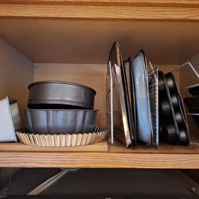 Resized 20251105 152851