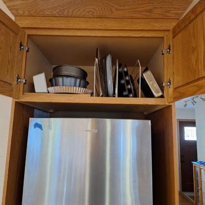 Resized 20251105 152523