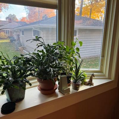 Sale Photo Thumbnail #38