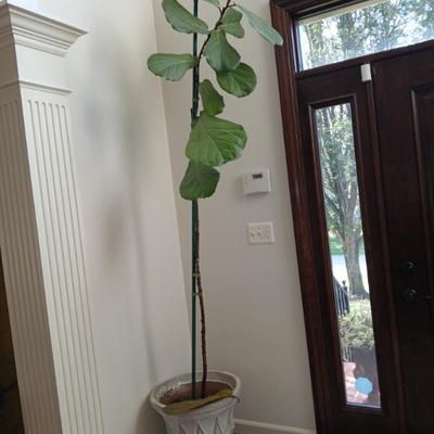 Sale Photo Thumbnail #154