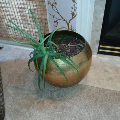 Sale Photo Thumbnail #132