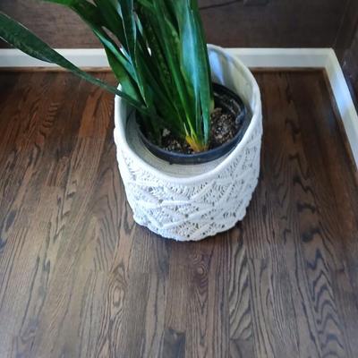 Sale Photo Thumbnail #55