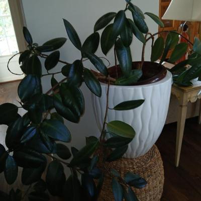 Sale Photo Thumbnail #143