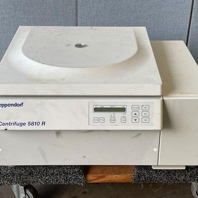 Sale Photo Thumbnail #69