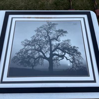 Sale Photo Thumbnail #128