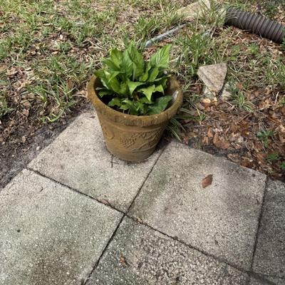 Sale Photo Thumbnail #98