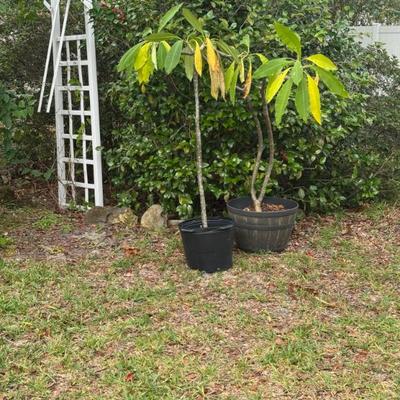 Sale Photo Thumbnail #99