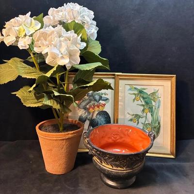 Antique botanical illustrations and vessel