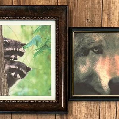 (2) Small Framed Prints - Raccoons And Wolf Close Up