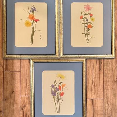 (3) Sandra Tommela Botanical Prints In Custom Frames