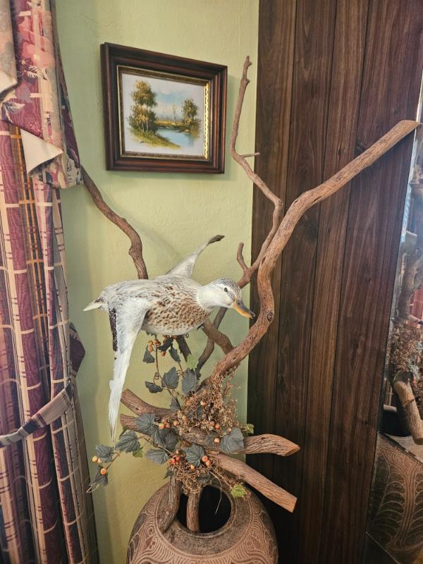 Sale Photo Thumbnail #5