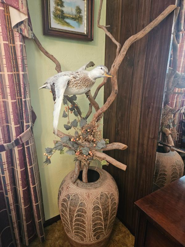 Sale Photo Thumbnail #6