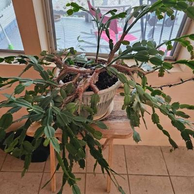 Sale Photo Thumbnail #22