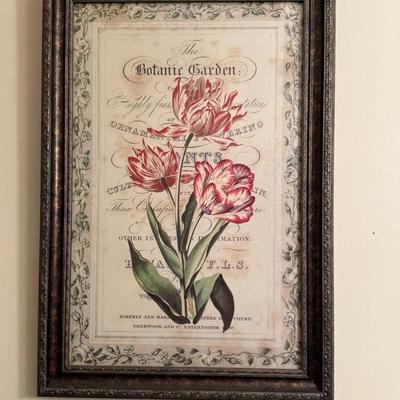 Botanic Garden Framed Print