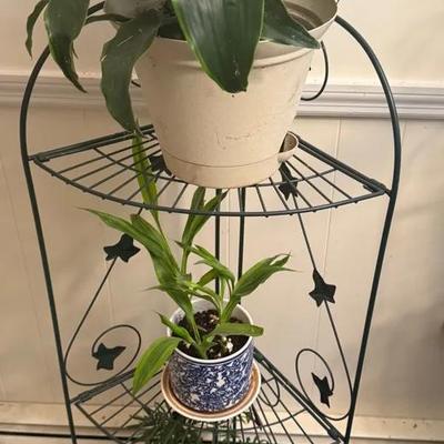 Plant Stand With Three Plants