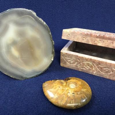 Natural Stone & Fossils (3pcs)