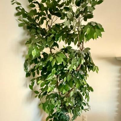 Sale Photo Thumbnail #106