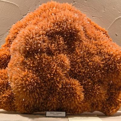 Sale Photo Thumbnail #85