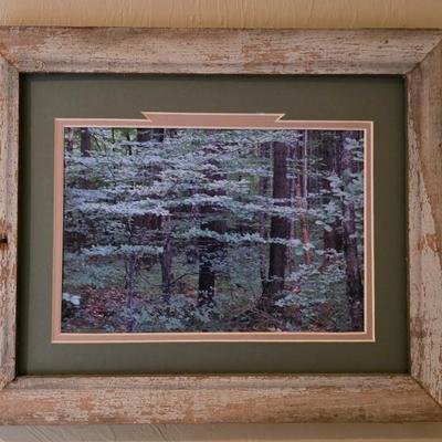 Sale Photo Thumbnail #112