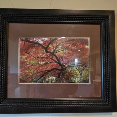 Sale Photo Thumbnail #82