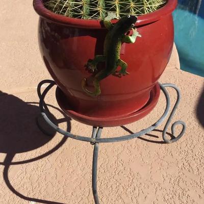 Golden Barrel Cactus In 11” Diameter Red Ceramic Pot With Stand