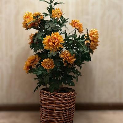 Sale Photo Thumbnail #94