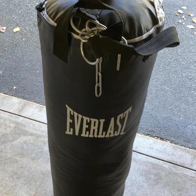 Everlast Heavy Punching Bag with Chains