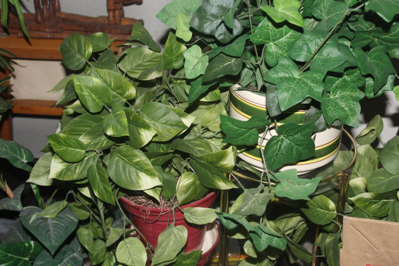 Sale Photo Thumbnail #72