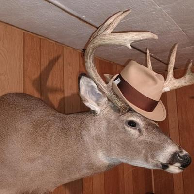 Sale Photo Thumbnail #64