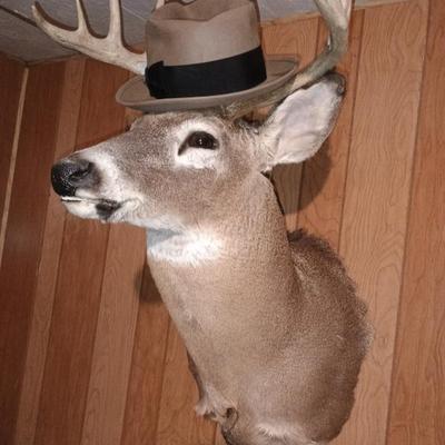 Sale Photo Thumbnail #4