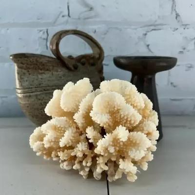 Dick Overman Stoneware Modern Design Jug, with Art Pottery Small Ikebana Vase and a Coral Specimen