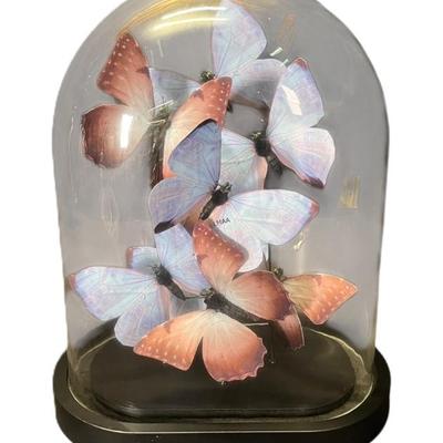 Sale Photo Thumbnail #254