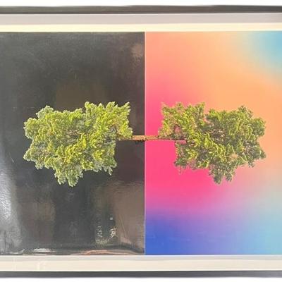 Sale Photo Thumbnail #93