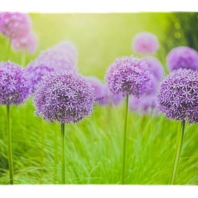 Sale Photo Thumbnail #87