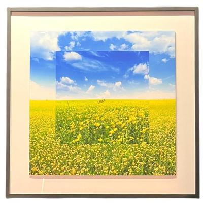 Sale Photo Thumbnail #219