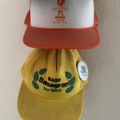 Sale Photo Thumbnail #239