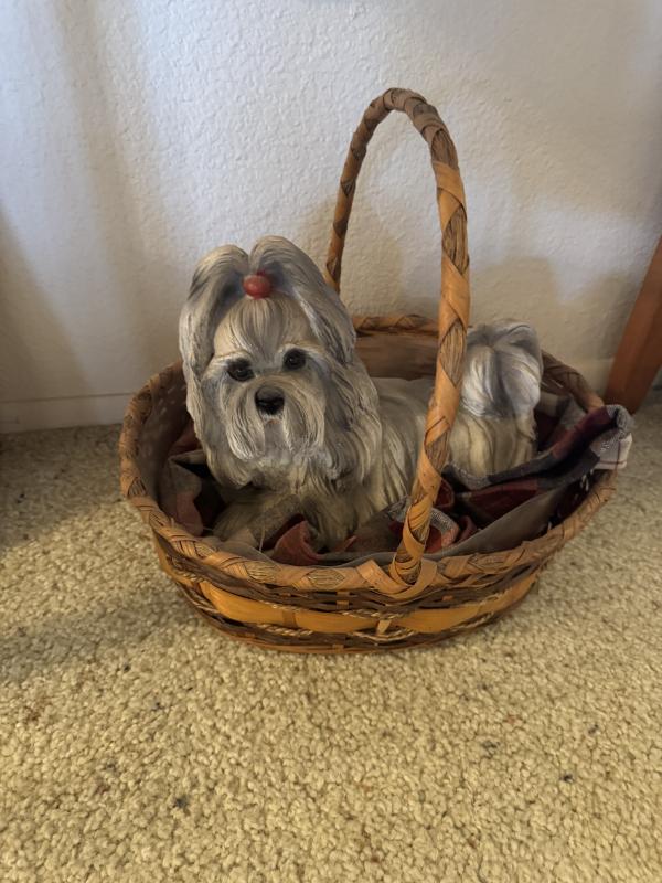 Sale Photo Thumbnail #583