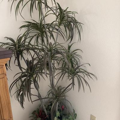 Sale Photo Thumbnail #126