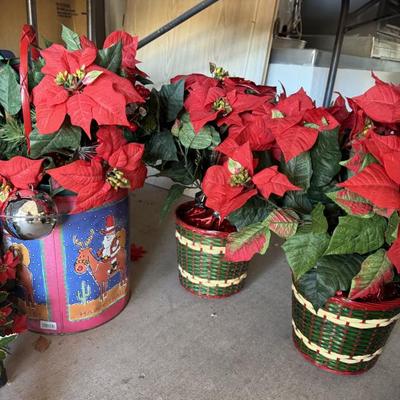 Sale Photo Thumbnail #336