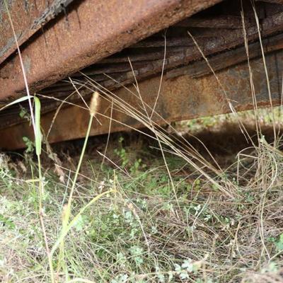 Sale Photo Thumbnail #243