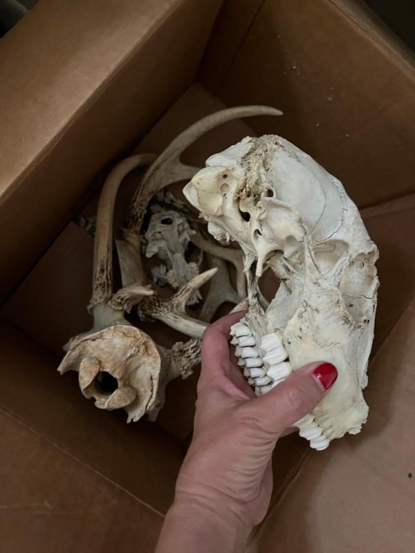 Sale Photo Thumbnail #79