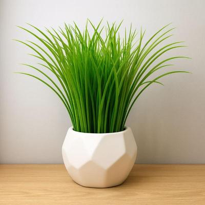 Sale Photo Thumbnail #846