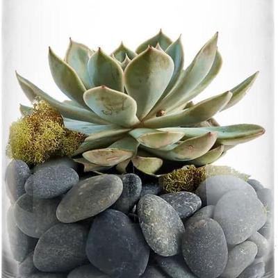 Sale Photo Thumbnail #49