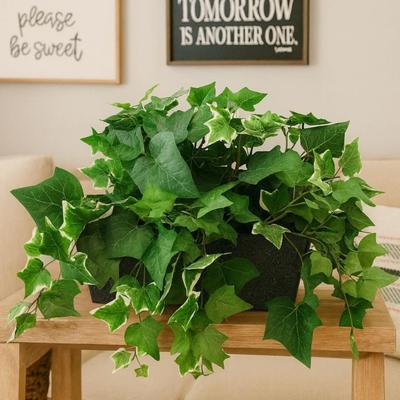 Sale Photo Thumbnail #736