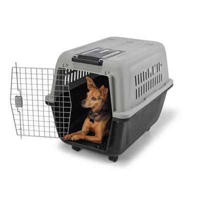 Sale Photo Thumbnail #790