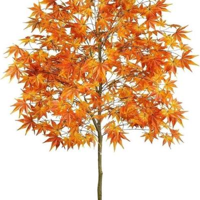 Sale Photo Thumbnail #122