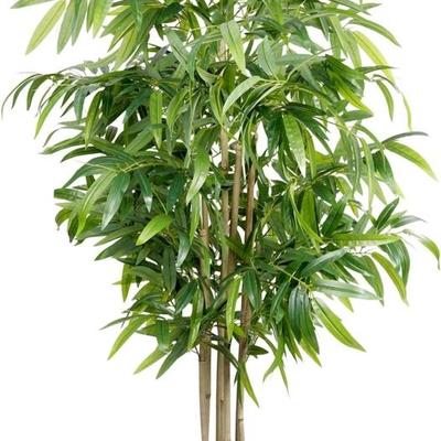 Sale Photo Thumbnail #839