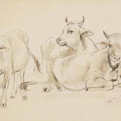 Sale Photo Thumbnail #281