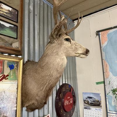 Sale Photo Thumbnail #180