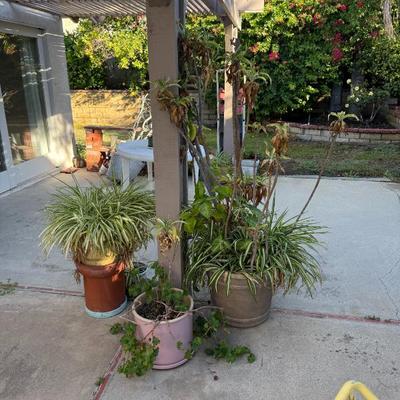 Sale Photo Thumbnail #36